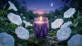 The Wood Element in Feng Shui: How Enigmatic Bloom Brings Growth Home