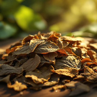 A hyperrealistic close-up of dried patchouli leaves, dark green to brown, illuminated by warm amber sunlight, with tiny oil droplets glistening on their velvety, curled surfaces. The background is a blurred tropical forest floor, suggesting a serene, spa-like setting for a candle fragrance note.